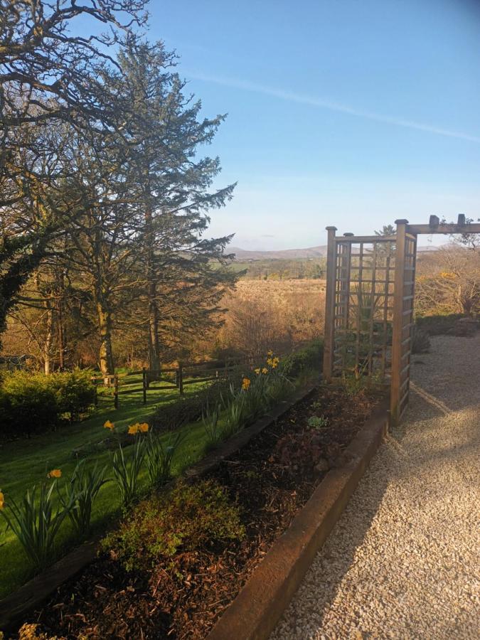 Holly Lodge Letterkenny Exterior photo